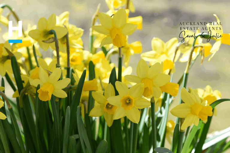 beautiful yellow color flowers.